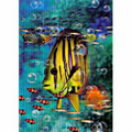 3D Lenticular Postcard (Tropical Fish)